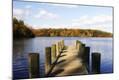Premium Photographic Print