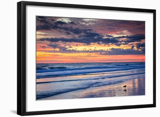 Photo, , large