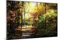 Photographic Print