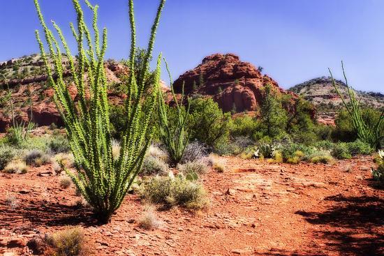 Photographic Print, , large
