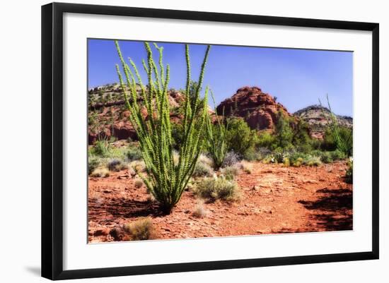 Photographic Print, , large