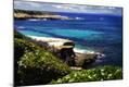 Photographic Print