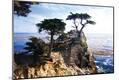 Photographic Print