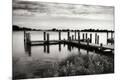 Premium Photographic Print