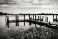 Premium Photographic Print
