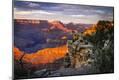 Premium Photographic Print