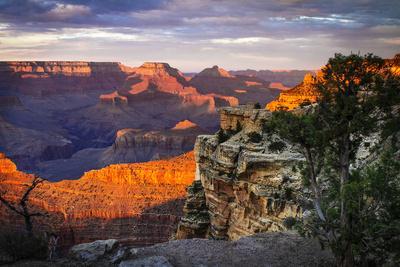 & National Park Prints, Posters Wall Paintings, Art Grand Canyon