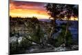 Premium Photographic Print