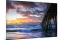 Premium Photographic Print