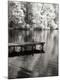 Premium Photographic Print