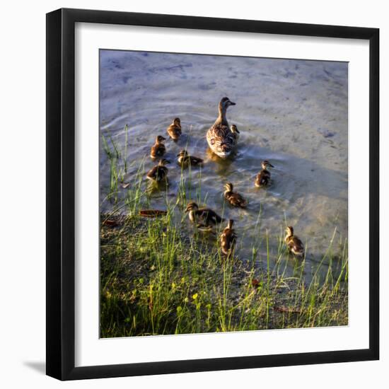 Photographic Print, , large