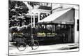 Premium Photographic Print