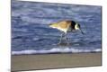 Premium Photographic Print