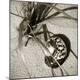 Premium Photographic Print