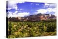 Stretched Canvas Print