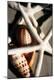 Premium Photographic Print