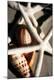 Premium Photographic Print