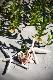 Premium Photographic Print