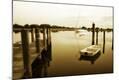 Photographic Print
