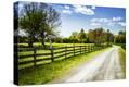 Stretched Canvas Print