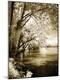 Premium Photographic Print