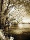 Premium Photographic Print
