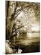 Premium Photographic Print
