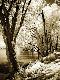 Premium Photographic Print