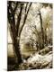 Photographic Print