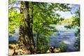 Premium Photographic Print