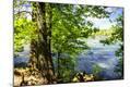 Photographic Print