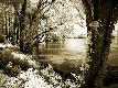 Premium Photographic Print