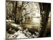 Photographic Print