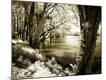 Photographic Print