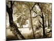 Premium Photographic Print