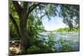 Photographic Print