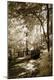 Photographic Print