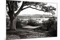 Premium Photographic Print