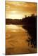 Premium Photographic Print