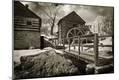Photographic Print