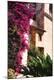 Premium Photographic Print