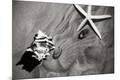 Premium Photographic Print