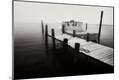 Premium Photographic Print