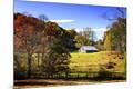 Photographic Print