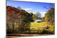 Photographic Print