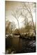 Photographic Print