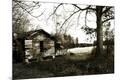 Photographic Print