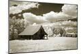 Photographic Print