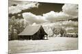Photographic Print