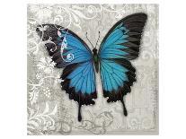 Blue Linen Butterfly-Alan Hopfensperger-Art Print